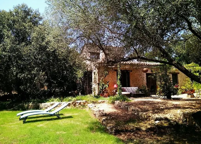 Finca Salzinar