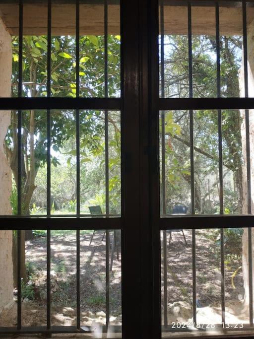 Finca Salzinar